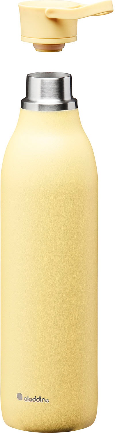 aladdin Trinkflasche »City Loop«, Edelstahl, 600 ml