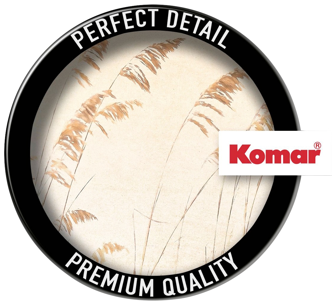 Komar Vliestapete »Digitaldruck Vlies - Dune Grass - Größe 400 x 250 cm«, bedruckt, Wohnzimmer, Schlafzimmer