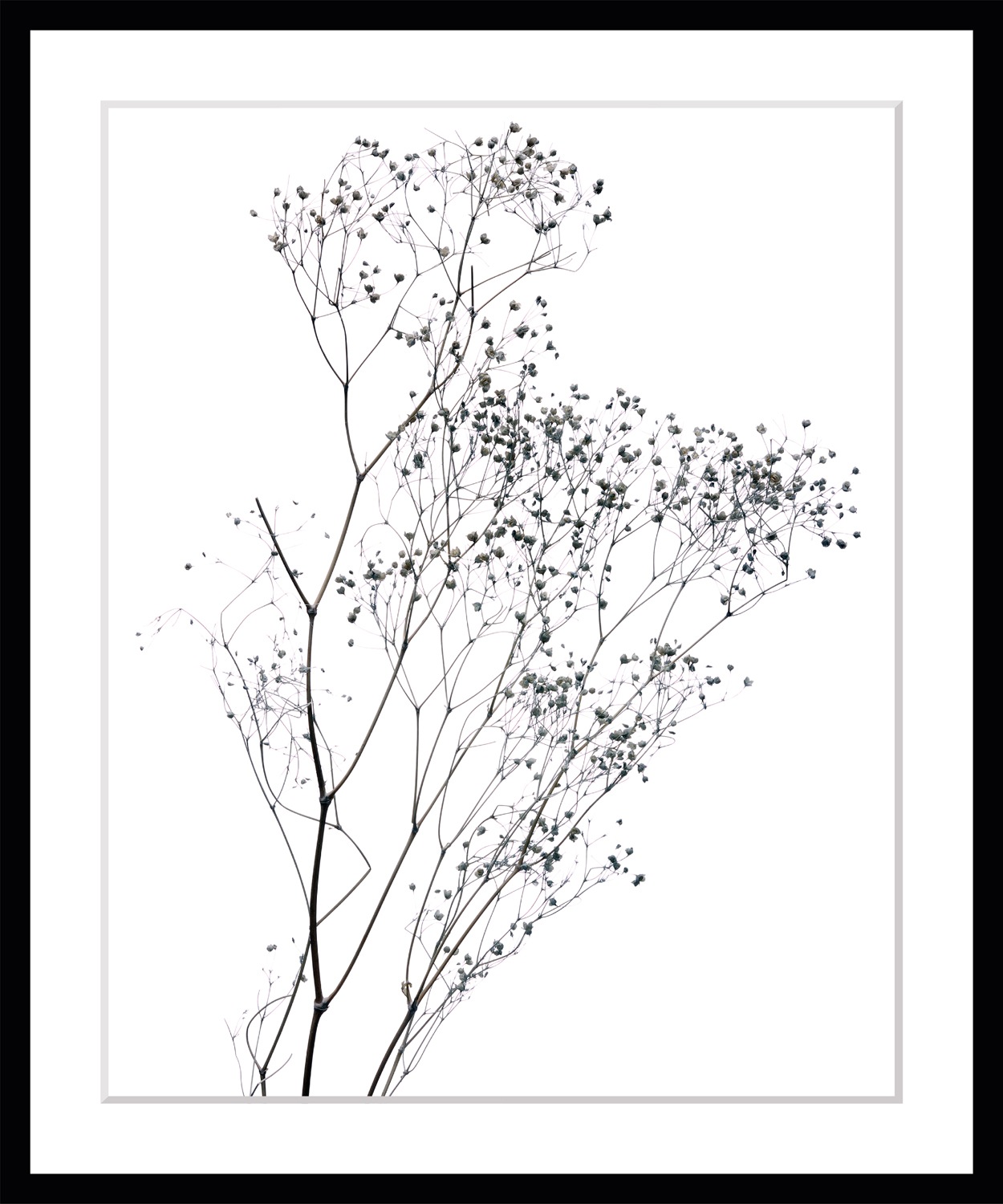 queence Bild »Dana«, Blumen, gerahmt, Blumen günstig online kaufen