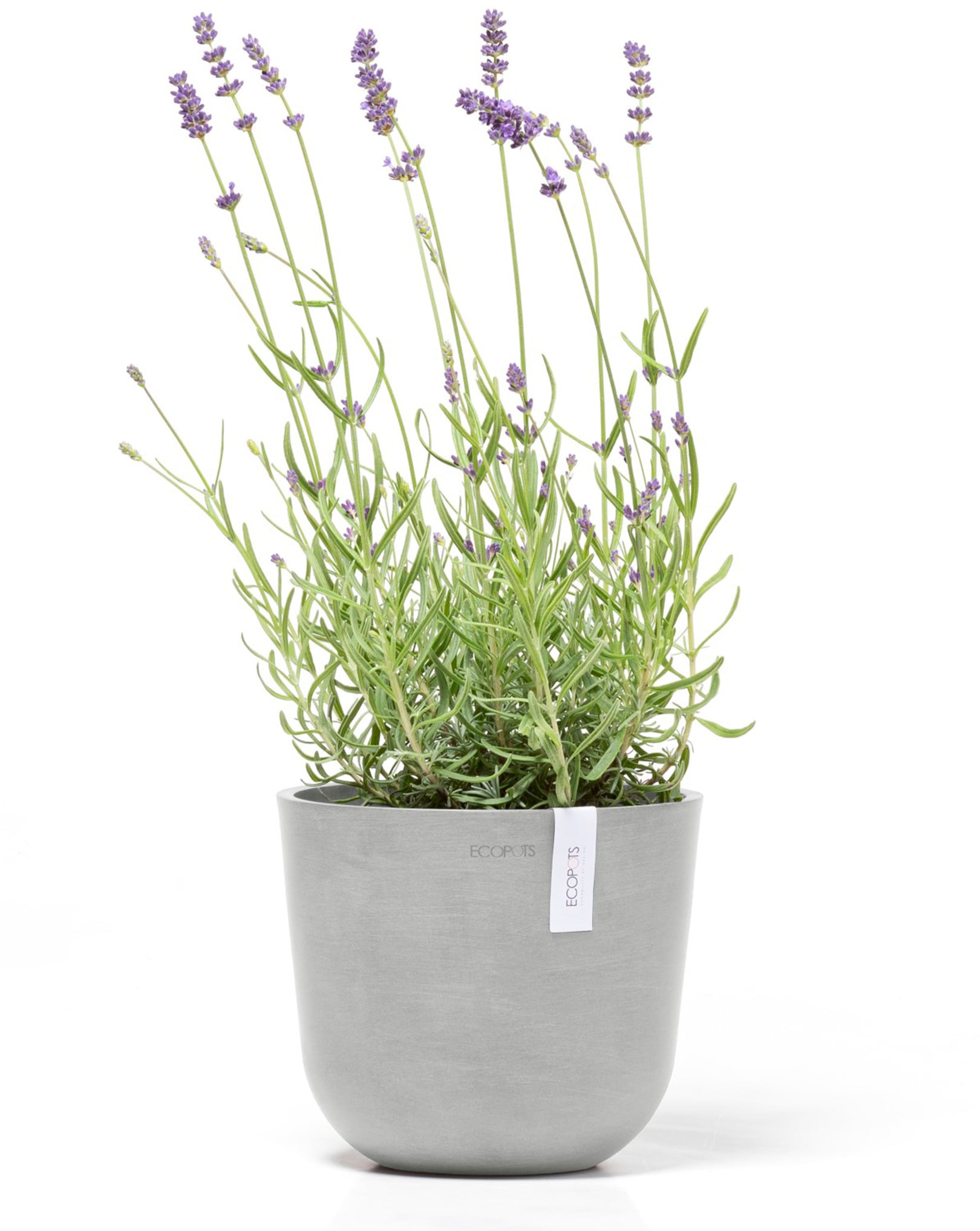 ECOPOTS Blumentopf »Oslo Mini 19 Weißgrau«, für den Innenbereich