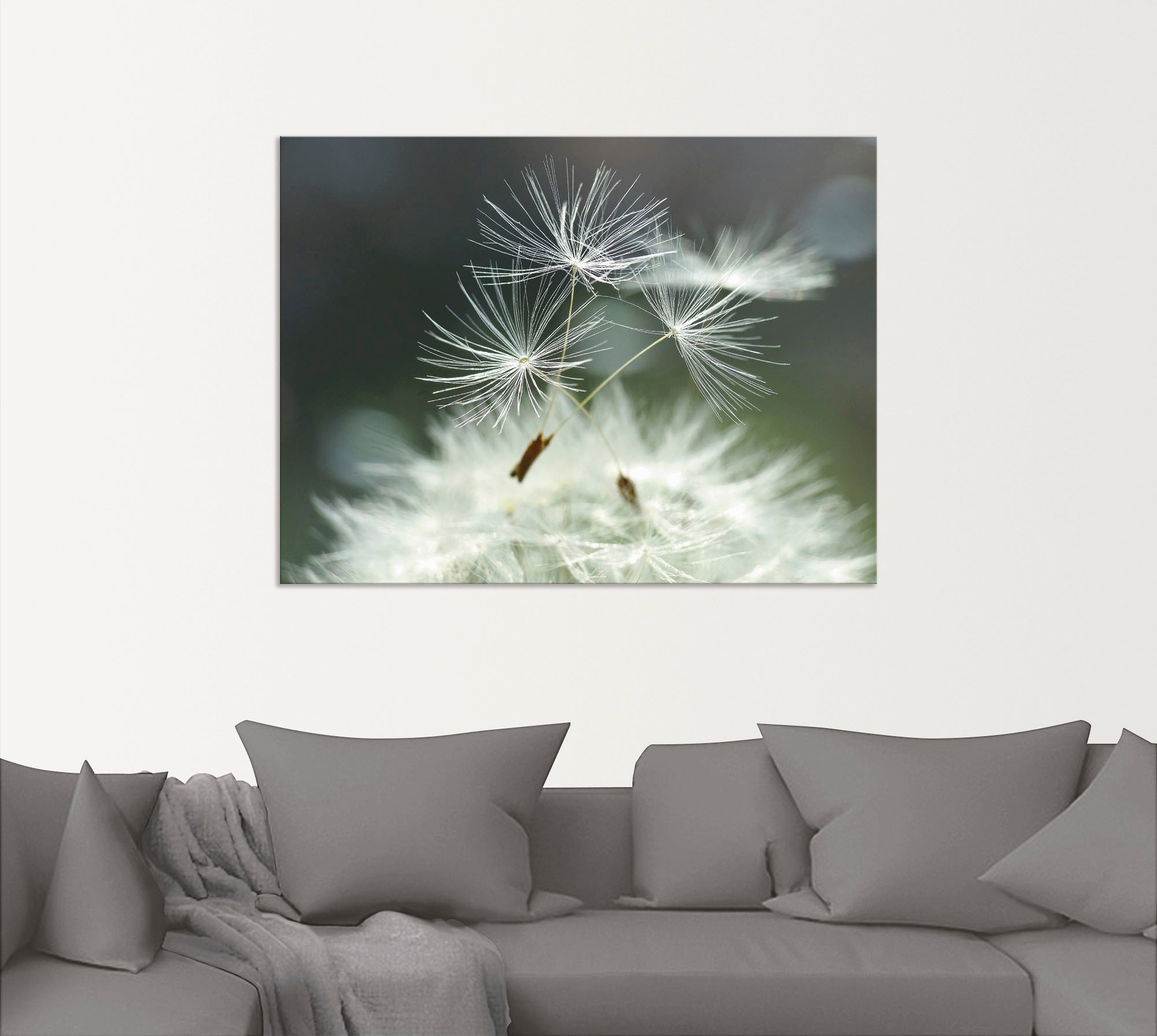 Artland Wandbild »Pusteblume Facility« 1 Stk. tlg. als Alubild, Outdoorbild günstig online kaufen