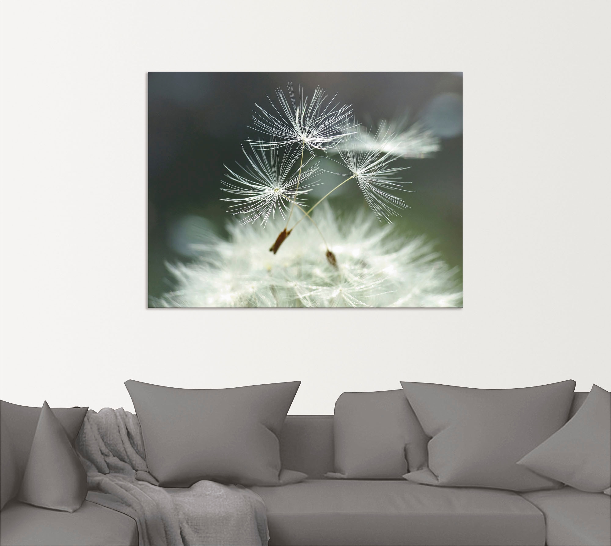 Artland Wandbild »Pusteblume Facility«, Blumen, (1 St.), als Alubild, Outdo günstig online kaufen