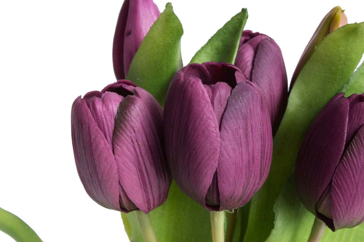 Botanic-Haus Kunstblume »Willa« Tulpenbündel im 7er-Set