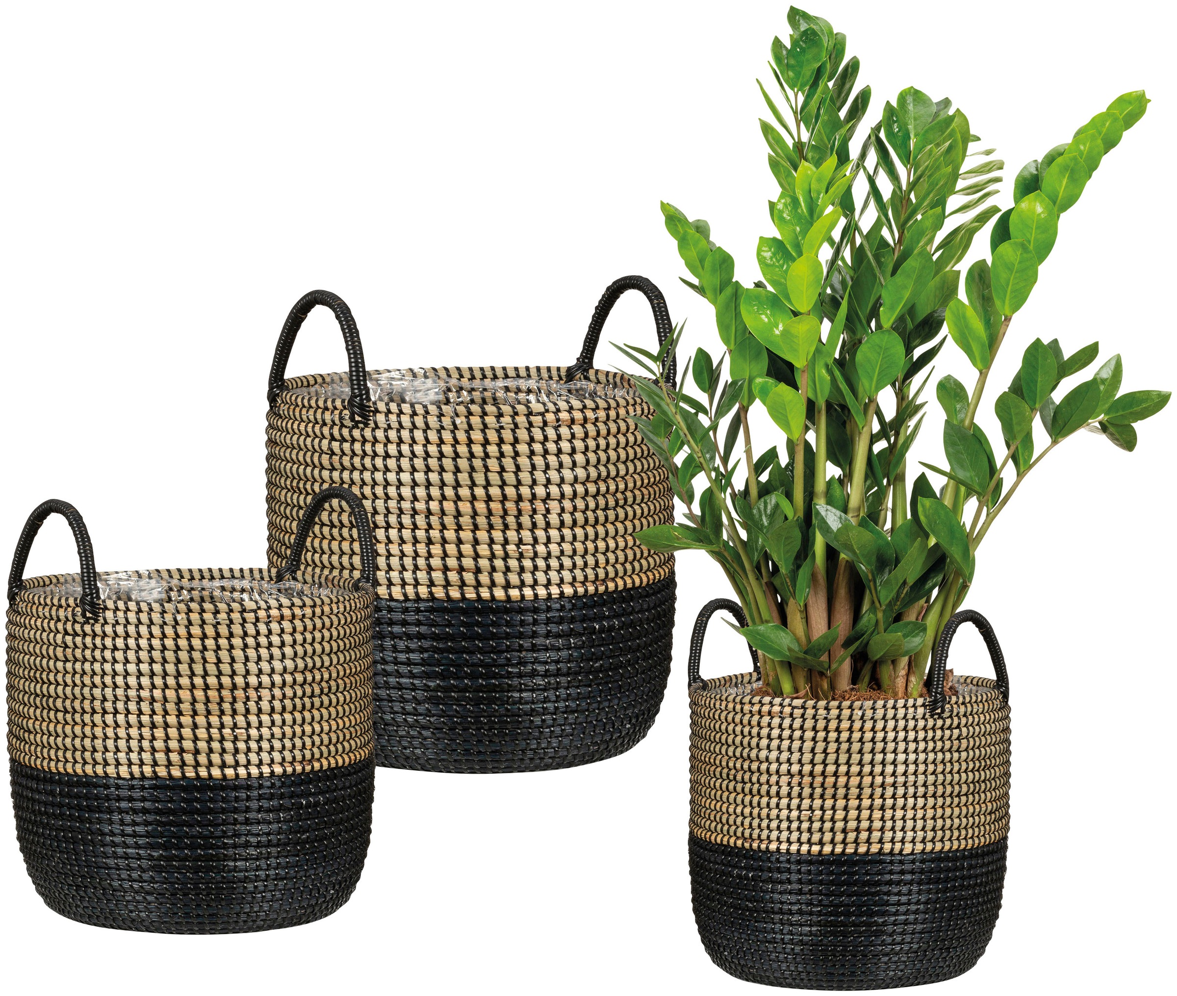 Scheurich Blumentopf »nature black 39/515«