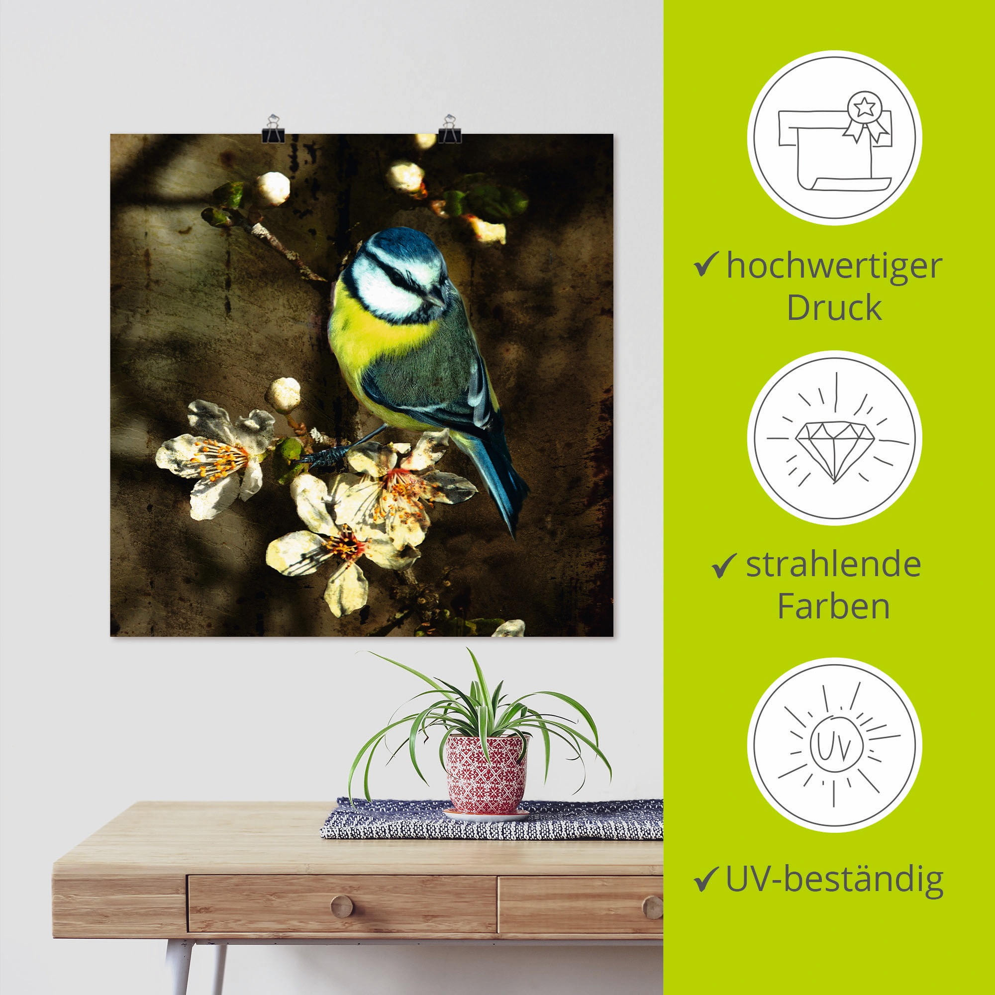 Artland Wandbild »Blaumeise auf Kirschzweig«, Vögel, (1 St.), als Alubild, Outdoorbild, Leinwandbild, Poster in verschied. Größen