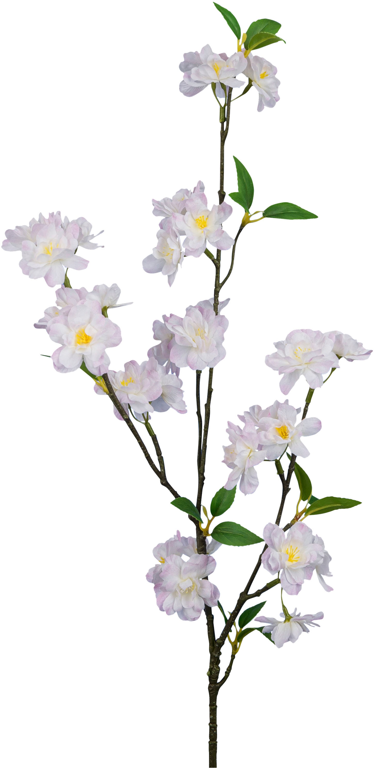 Creativ green Kunstzweig »Kirschblütenzweig« mit traumhaft schönen Blüten günstig online kaufen