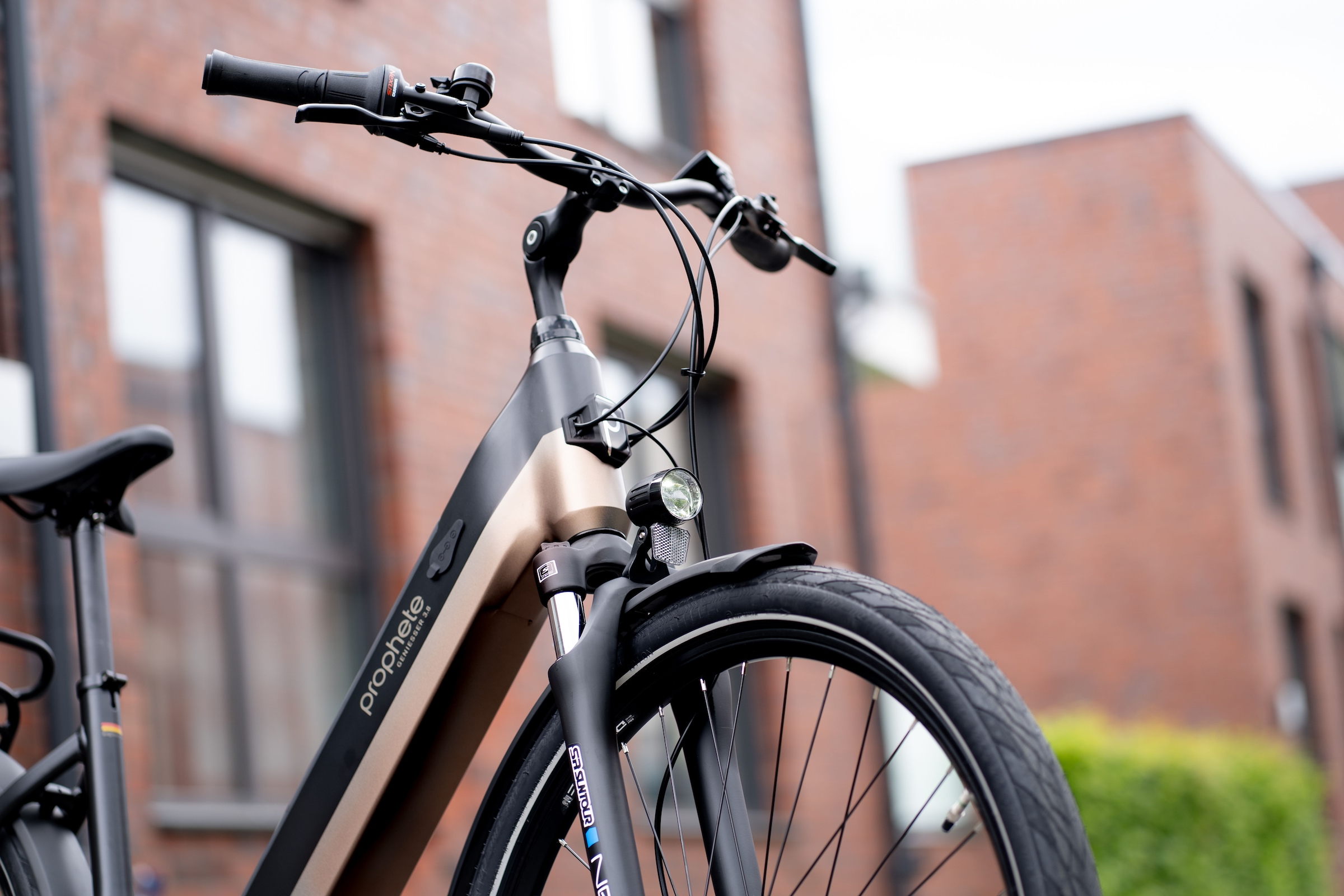 Prophete »Geniesser 3.8« 7 Gang Shimano Nexus Schaltwerk Nabenschaltung Mittelmotor 250 W