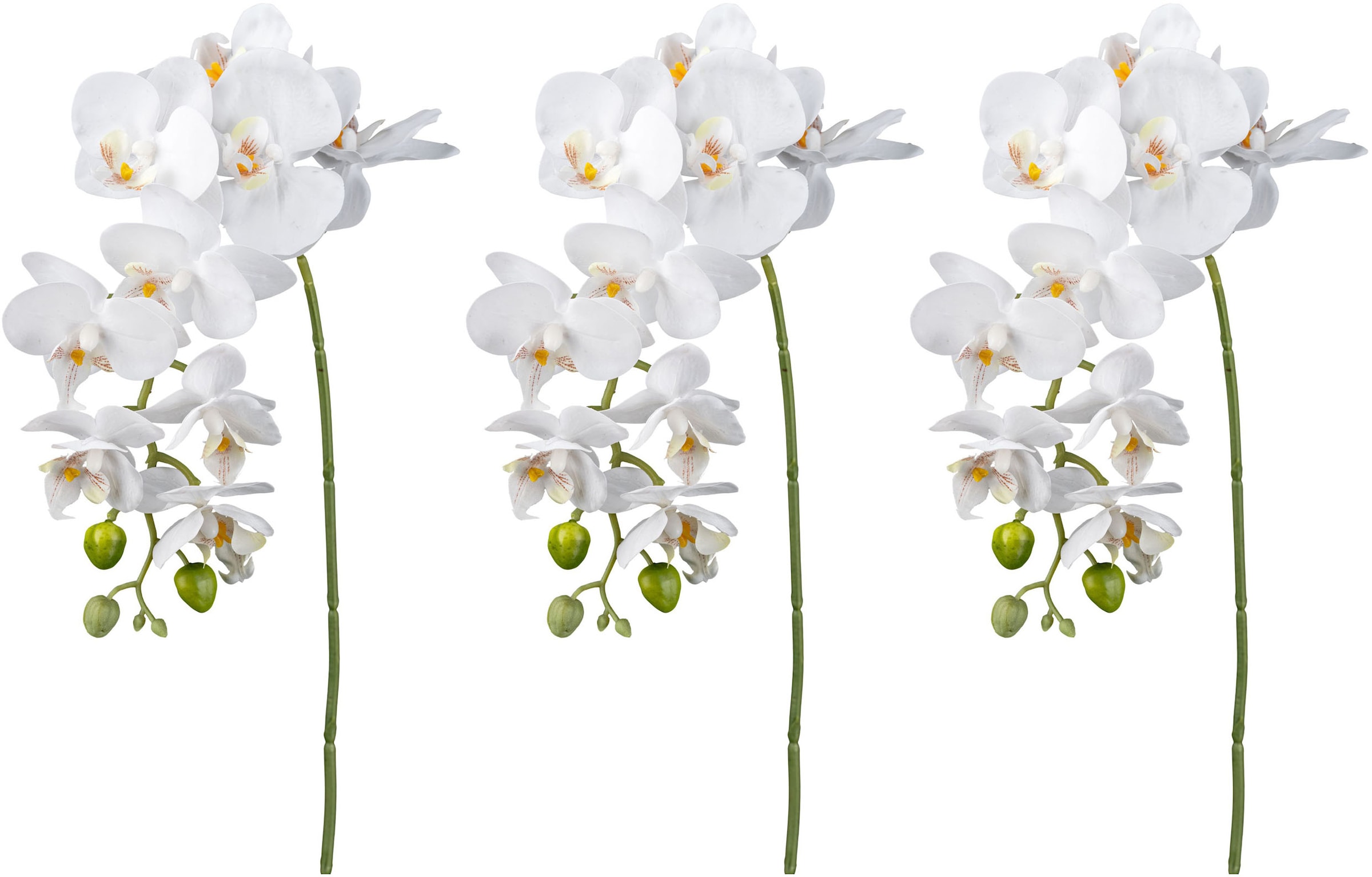 Creativ green Kunstorchidee »Orchidee Phalaenopsis«, mit real-touch-Blüten