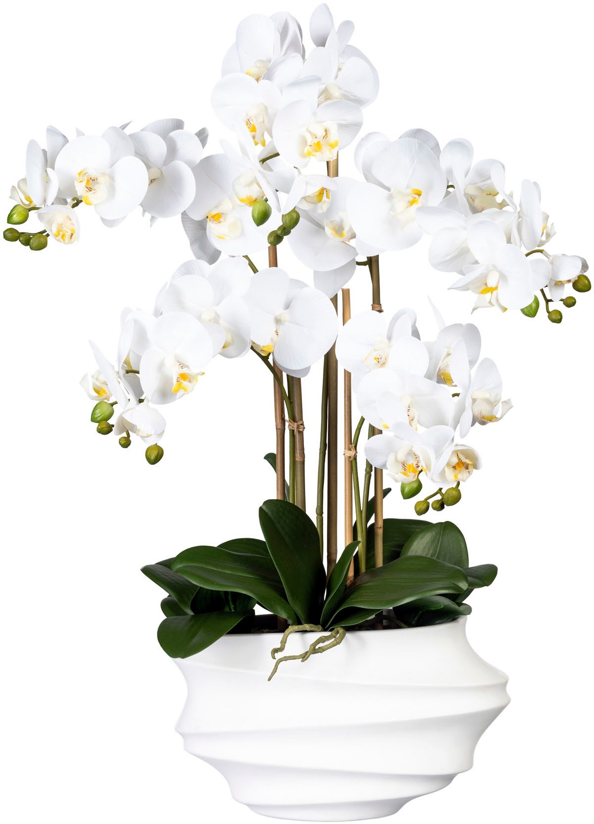 Creativ green Kunstorchidee »Phalaenopsis« in Design-Kunststoffvase günstig online kaufen