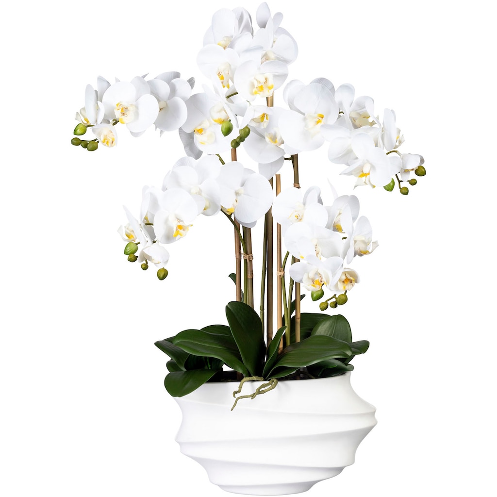 Creativ green Kunstorchidee »Phalaenopsis«