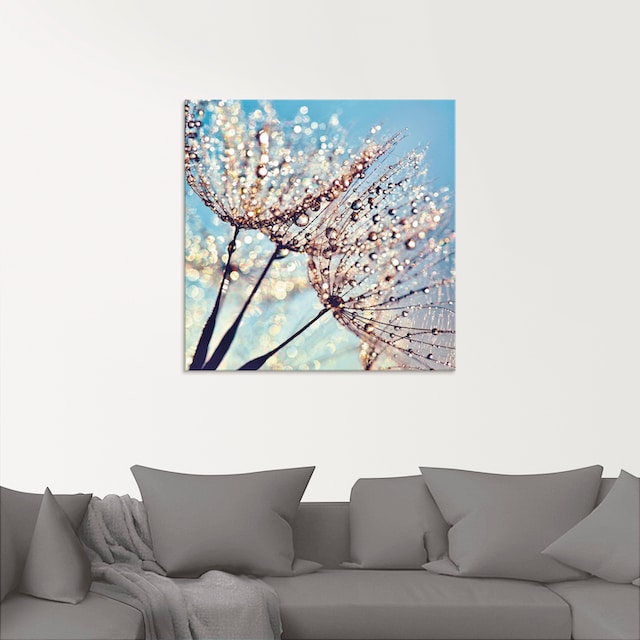 Artland Glasbild »Pusteblume Tröpfchenfänger«, Blumen, (1 St.), in verschiedenen  Größen online bestellen