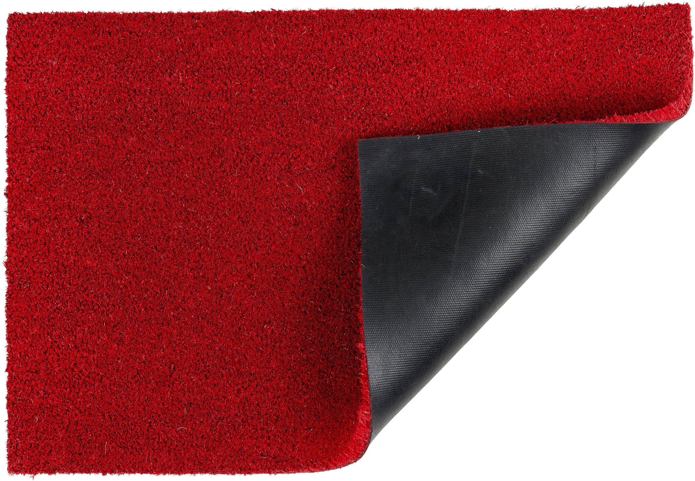 ASTRA Fußmatte »CocoColorTrend«, rechteckig, 15 mm Höhe, Kokos Türmatte, Aussenbereich, moderne Farben