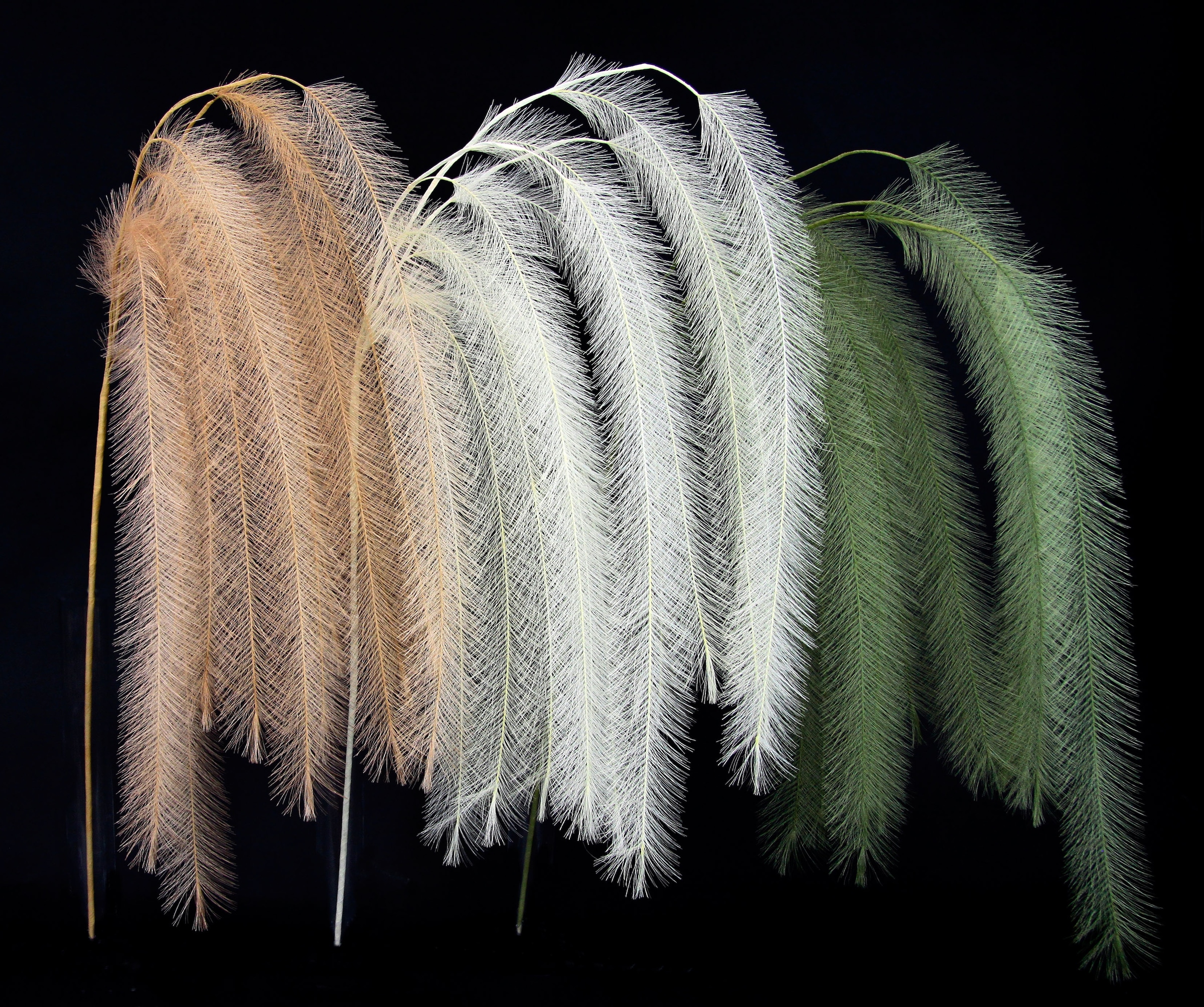 I.GE.A. Kunstpflanze »Federzweig« 3er Set