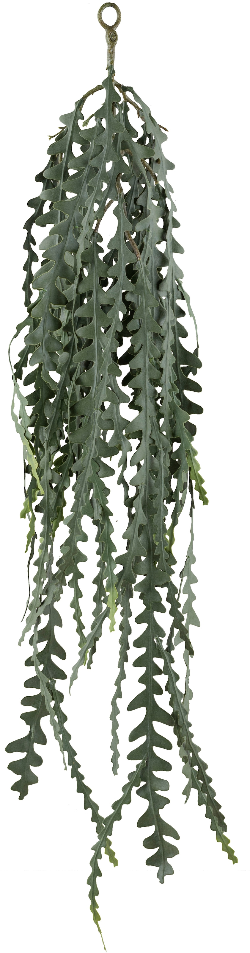Creativ green Kunstranke »Hängepflanze Epiphyllum anguliger«, mit detailgetreuem Blattwerk