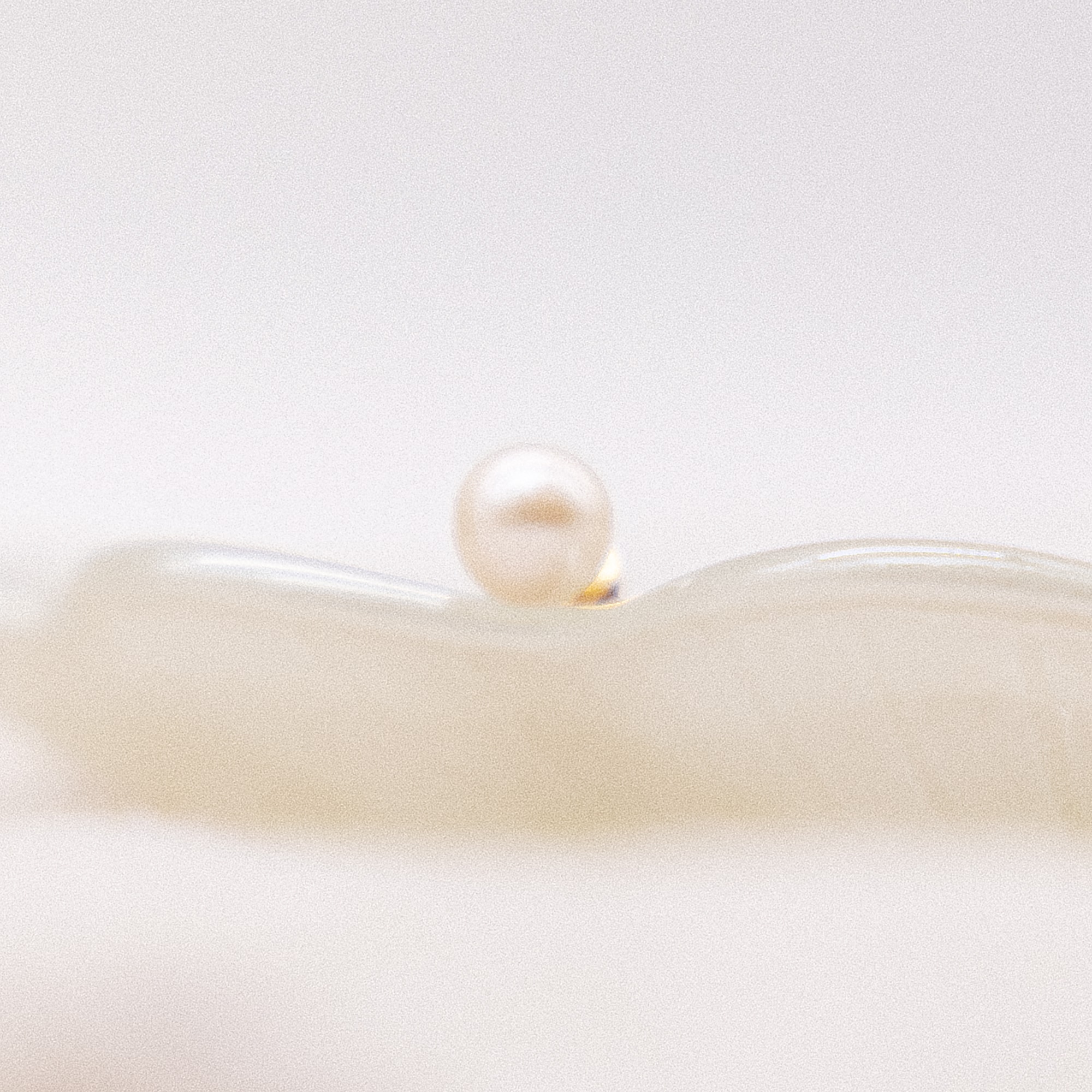 Fascination by Ellen K. Paar Ohrstecker »Gold 585 Akoya-Perle 6,5-7mm«