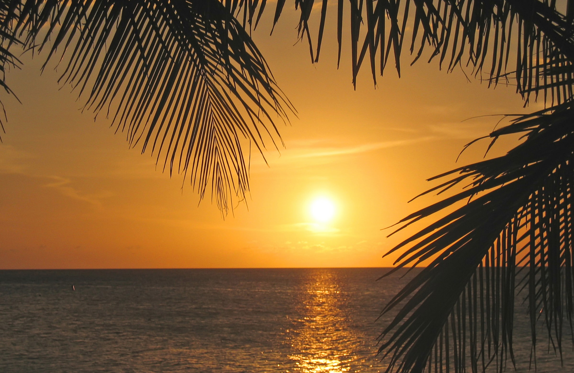 Papermoon Fototapete »SONNENUNTERGANG-PALMEN STRAND MEER SEE OZEAN KARIBIK« günstig online kaufen