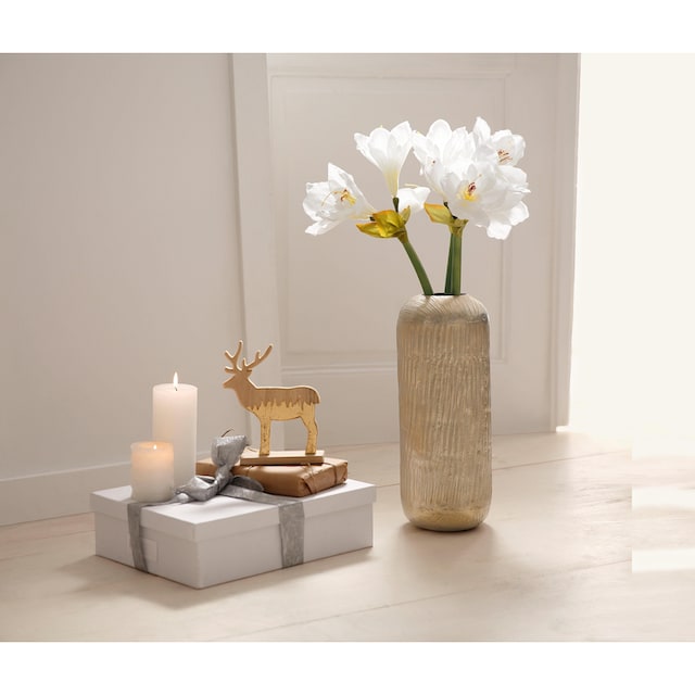 Kunstblume mit kaufen Vase 4 St.), »Amaryllis«, online (Set,