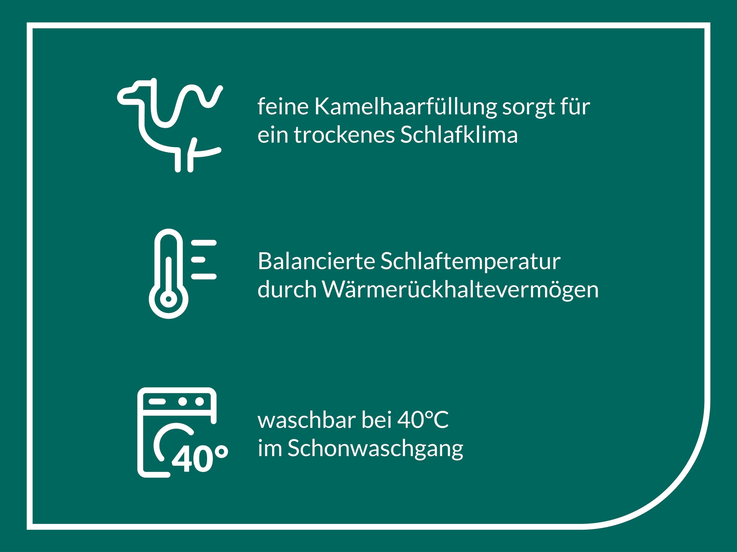 f.a.n. Schlafkomfort Naturhaarbettdecke »Gobi, Bettdecken für Sommer und Winter, Decke«, 4-Jahreszeiten, Füllung Kamelhaar, Bezug Baumwolle, (1 St.), Bettdecke 135x200 cm, 155x220 cm und weiteren Größen, Made in Germany