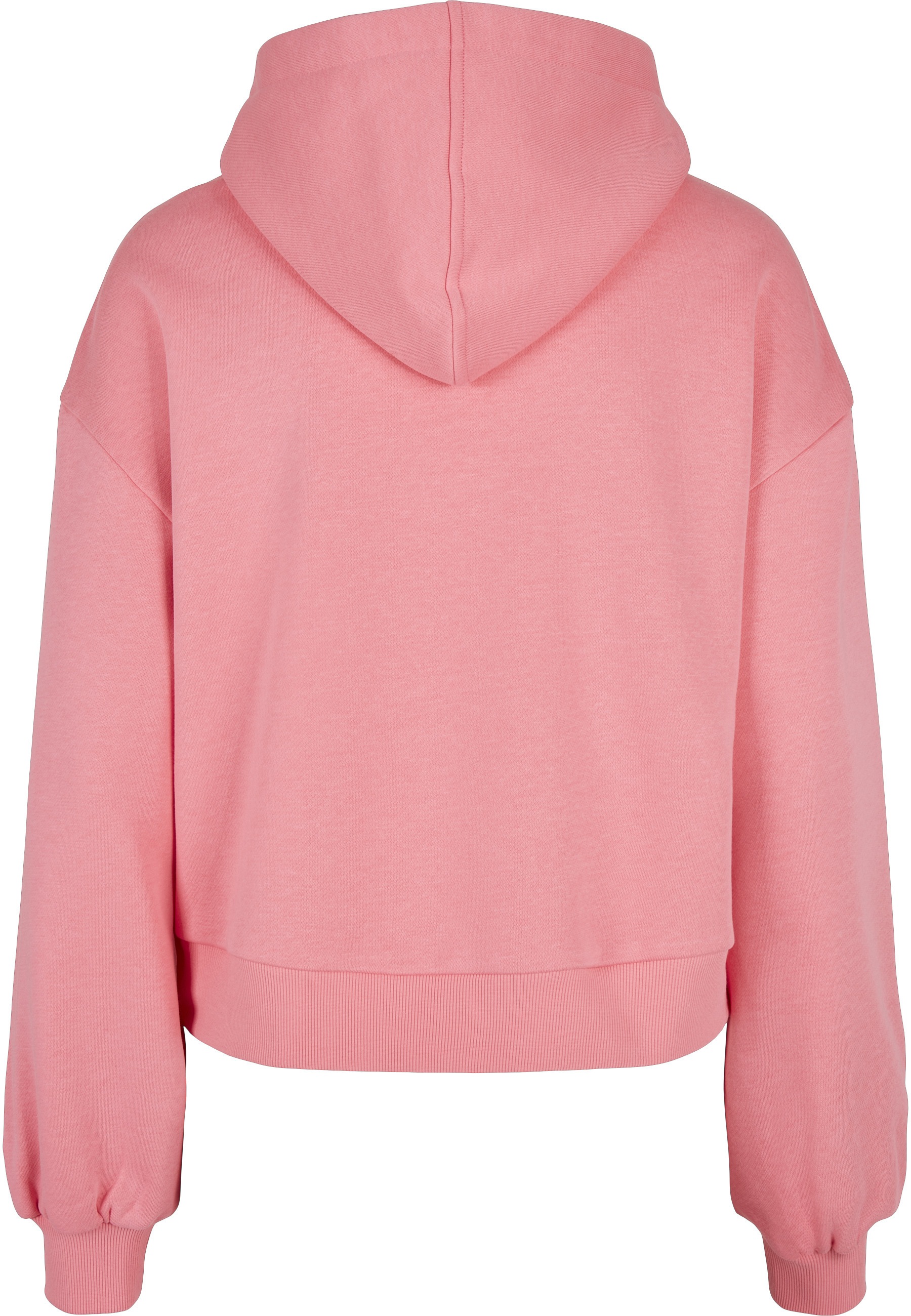 Starter Black Label Kapuzensweatshirt »Starter Black Label Damen«, 1 Stk.
