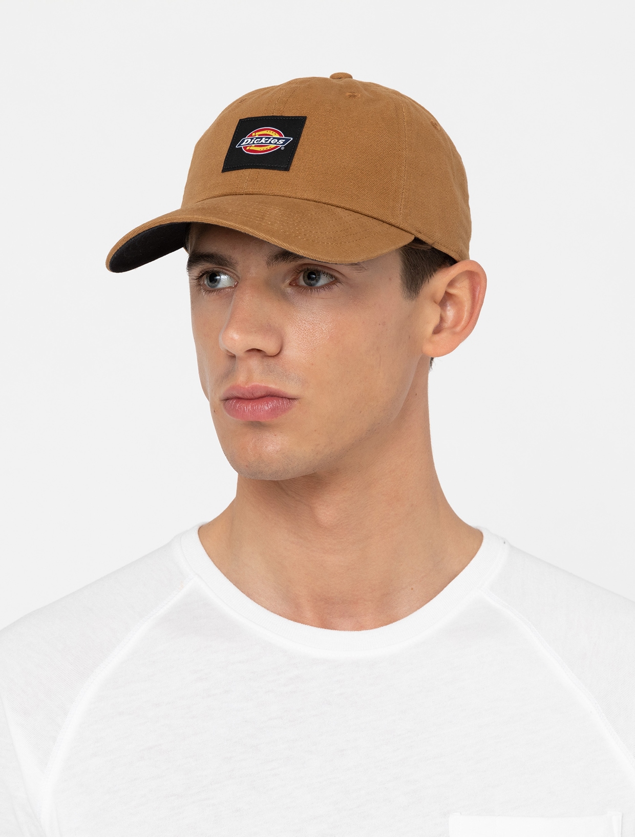 Dickies Baseball Cap »Dickies Workwear Mützen DICKIES WASHED CANVAS CAP«