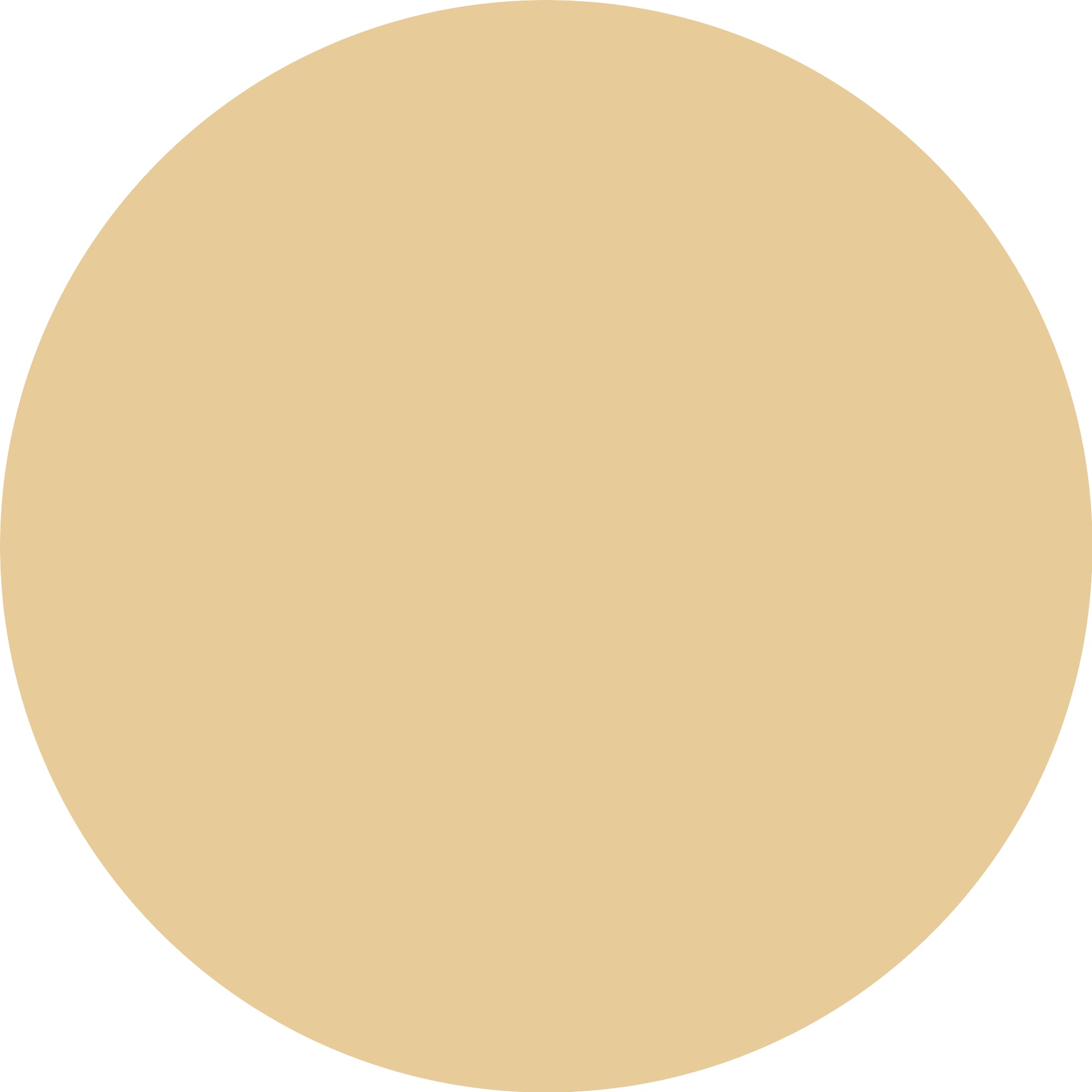 Catrice Make-up »CC Skin Perfector«