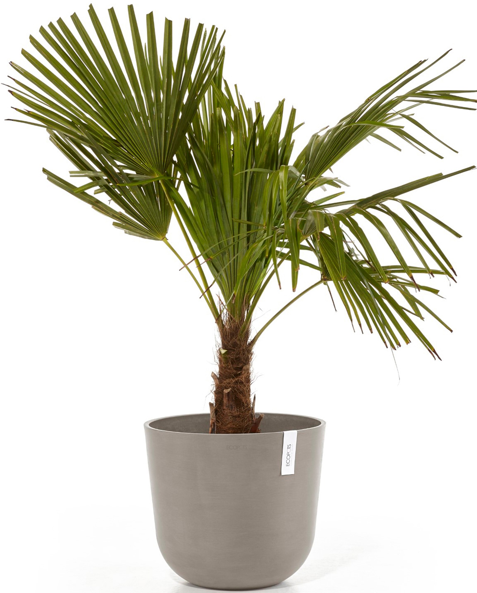 ECOPOTS Blumentopf »Oslo 35 + Wassersystem Taupe«, für innen und außen: frostsicher, bruchsicher und lichtbeständig