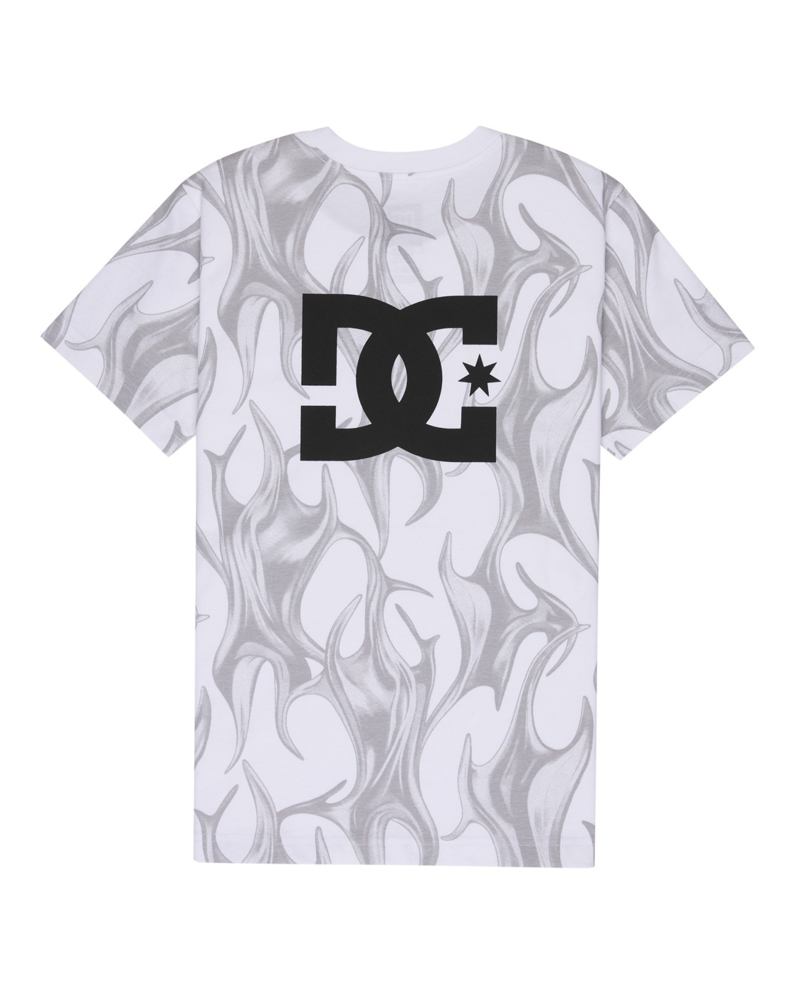 DC Shoes T-Shirt »DC Liquid Fuego«