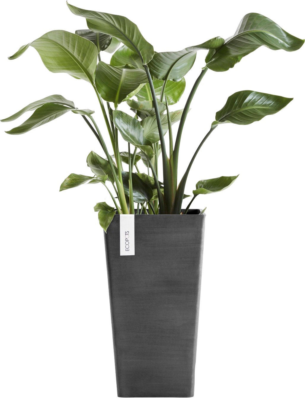 ECOPOTS Blumentopf »ROTTERDAM MID HIGH Dark Grey« BxTxH: 31x31x56 cm