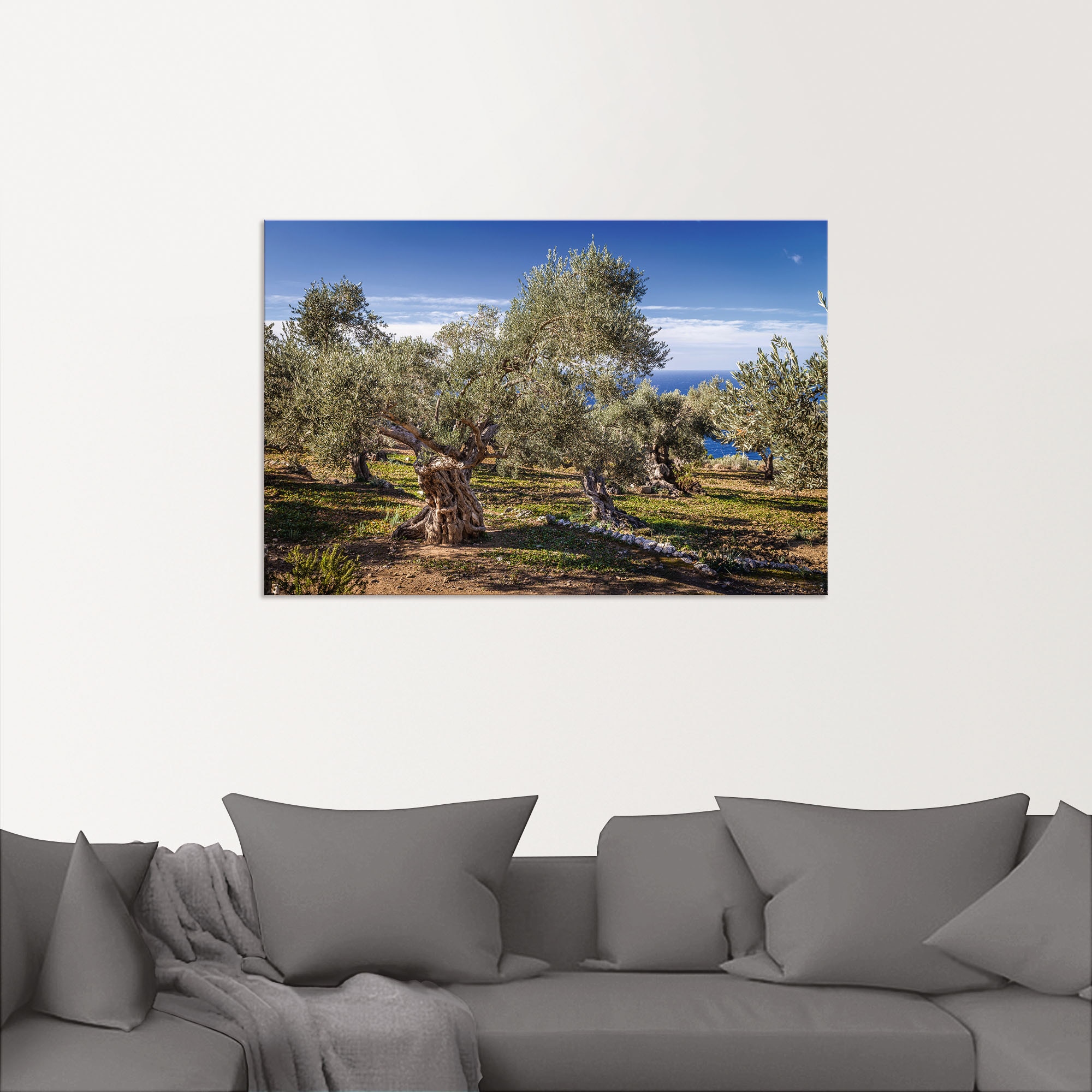 Artland Wandbild "Olivenhain in der Serra de Tramuntana", Küstenbilder, (1 günstig online kaufen