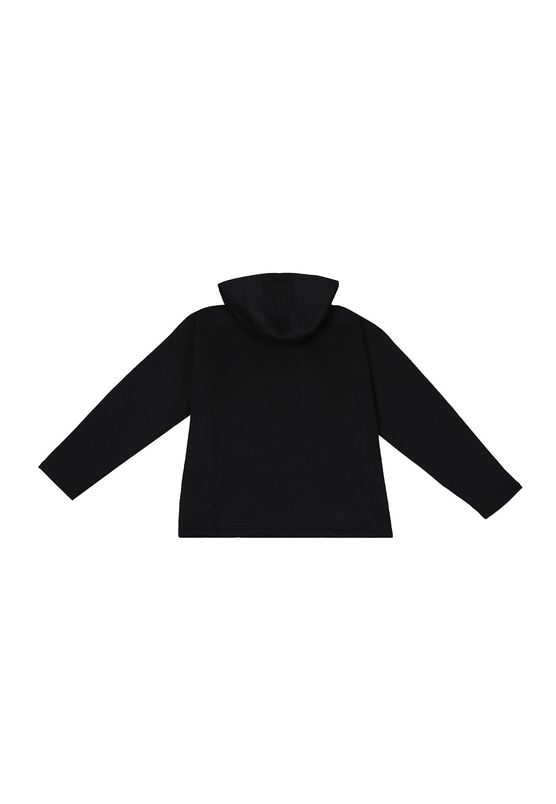 Dropsize Kapuzenpullover »Dropsize HEAVY OVERSIZE RELAXED FIT HOODIE« 1 Stk.