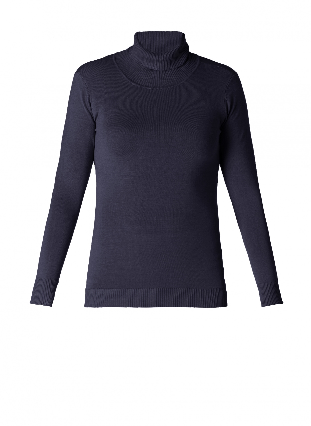 Base Level Curvy Rollkragenpullover »BAS-YUENA«