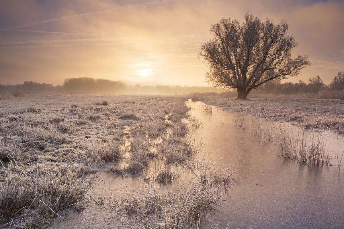 Papermoon Fototapete »Winterlandschaft«