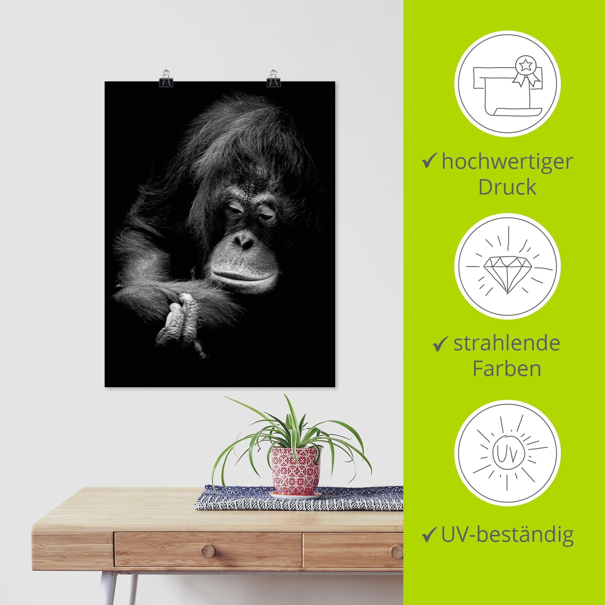 Artland Poster »Der nachdenkliche Orang Utan«, Affenbilder, (1 St.), als Alubild, Leinwandbild, Wandaufkleber oder Poster in versch. Größen