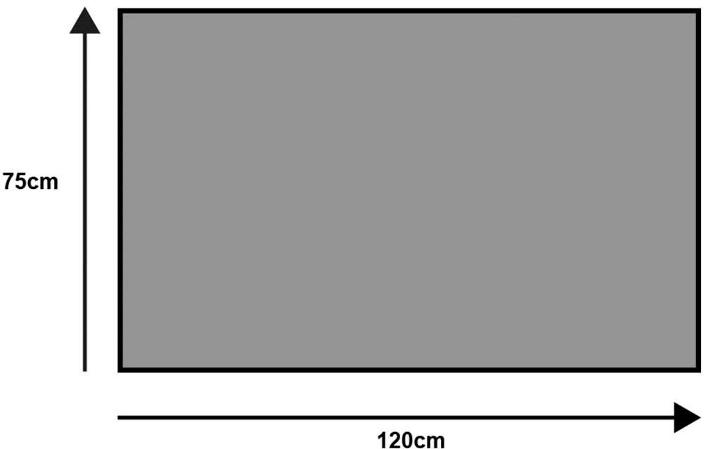 wash+dry by Kleen-Tex Fußmatte »Flower Bouquet Daylight« rechteckig 7 mm Höhe auch als Läufer erhätlich, waschbar und trocknergeeignet