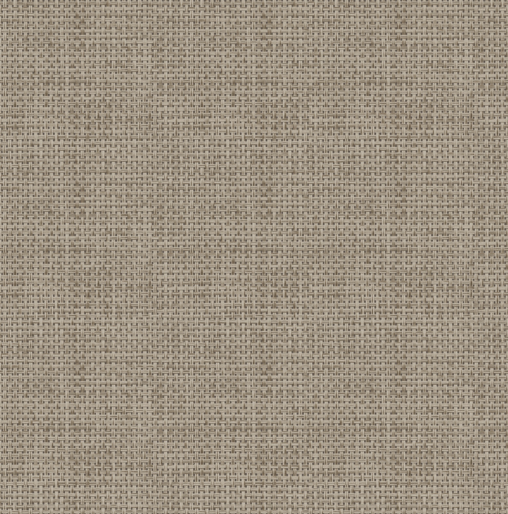 Easy Decor Vliestapete »Rotan« 3D-Optik texturiert Design Tapeten