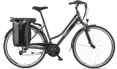 Telefunken E-Bike »Expedition XT480«, 21 Gang, Shimano, Heckmotor 250 W, mit... kaufen