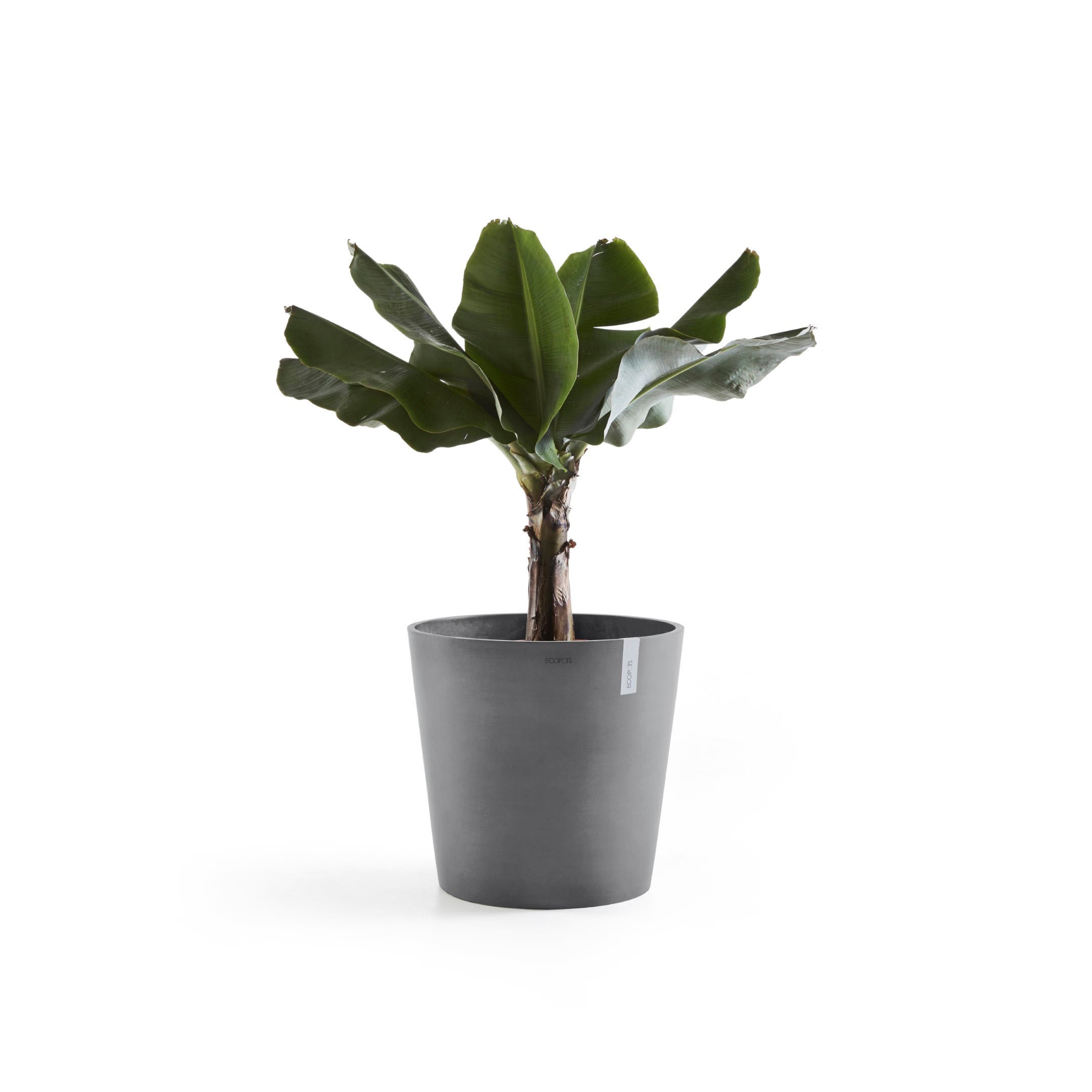 ECOPOTS Blumentopf »Amsterdam«, ØxH: 50x43,8 cm