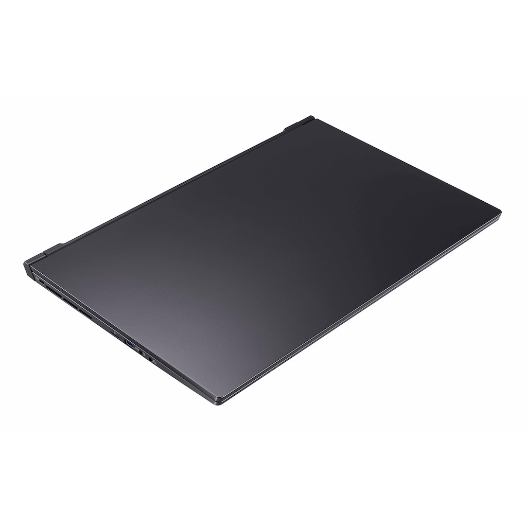 Hyrican Gaming-Notebook »Striker 1638«, 43,94 cm, / 17,3 Zoll, Intel, Core i7, GeForce RTX 3060, 1000 GB SSD