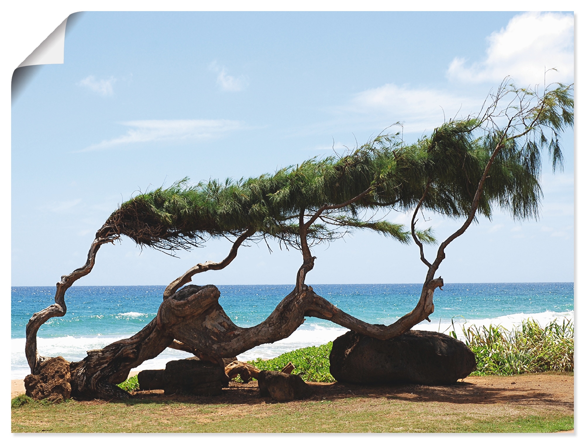 Artland Wandbild »Landschaft, Hawaii«, Strand, (1 St.), als Alubild, Leinwandbild, Wandaufkleber oder Poster in versch. Größen