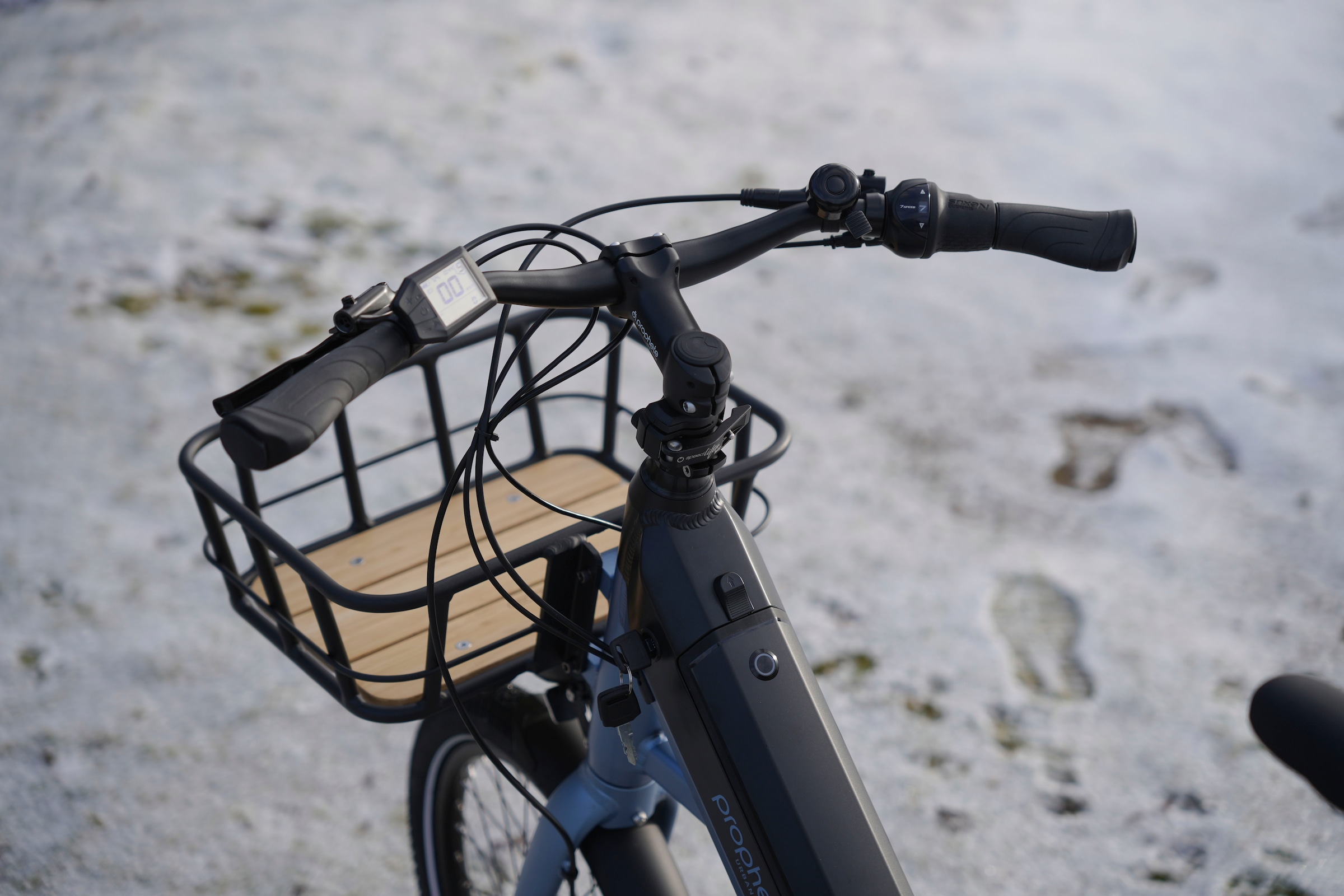 Prophete »Urbanicer 3.8« 7 Gang Shimano Nexus Schaltwerk Nabenschaltung Mittelmotor 250 W