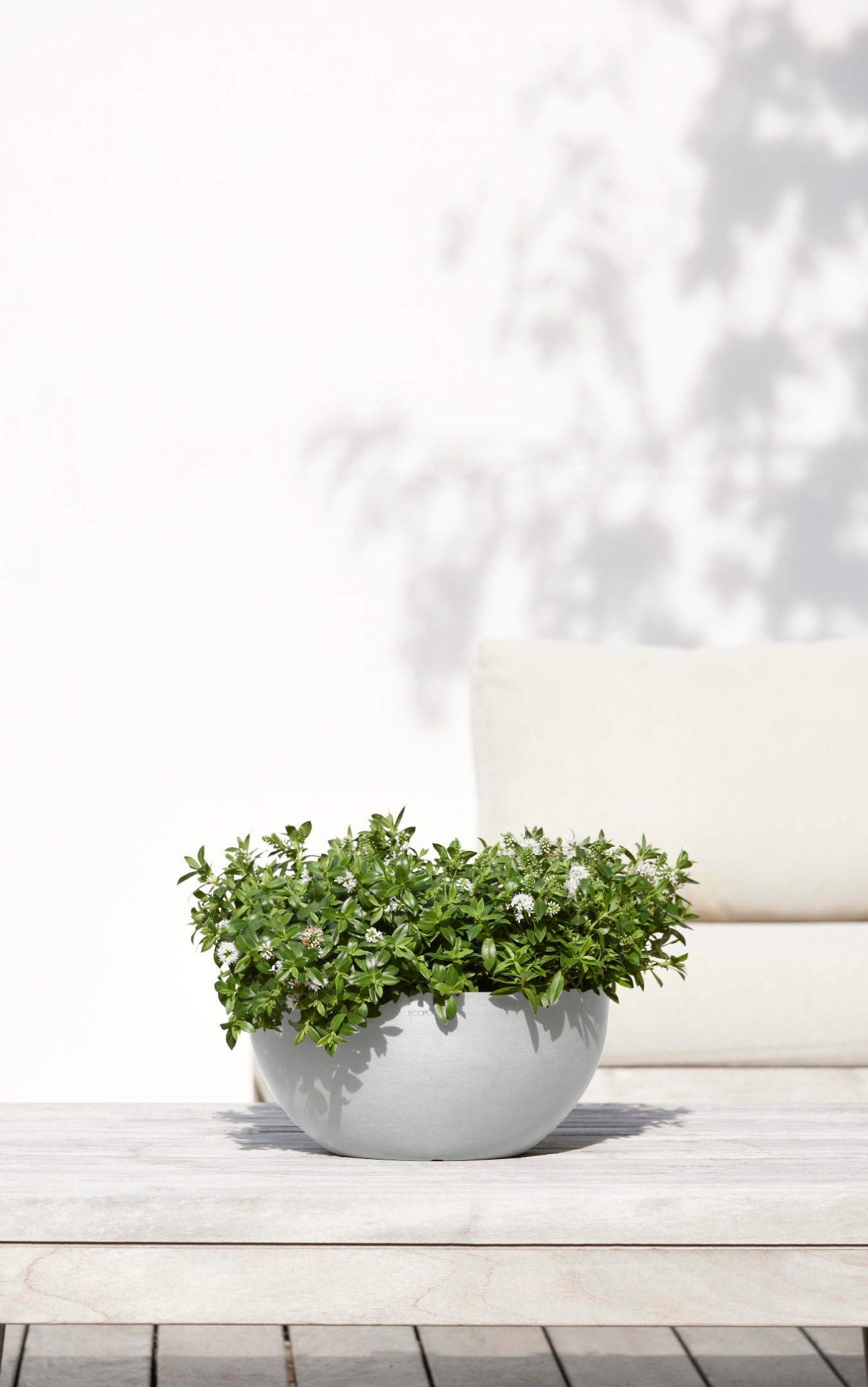 ECOPOTS Blumentopf »Bruges«, ØxH: 30x14 cm