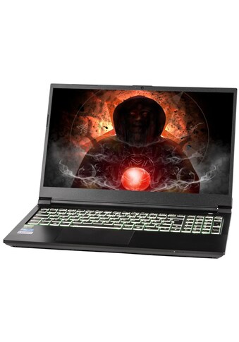 CAPTIVA Gaming-Notebook »Power Starter I61-921«, (39,6 cm/15,6 Zoll), Intel, Core i5,... kaufen
