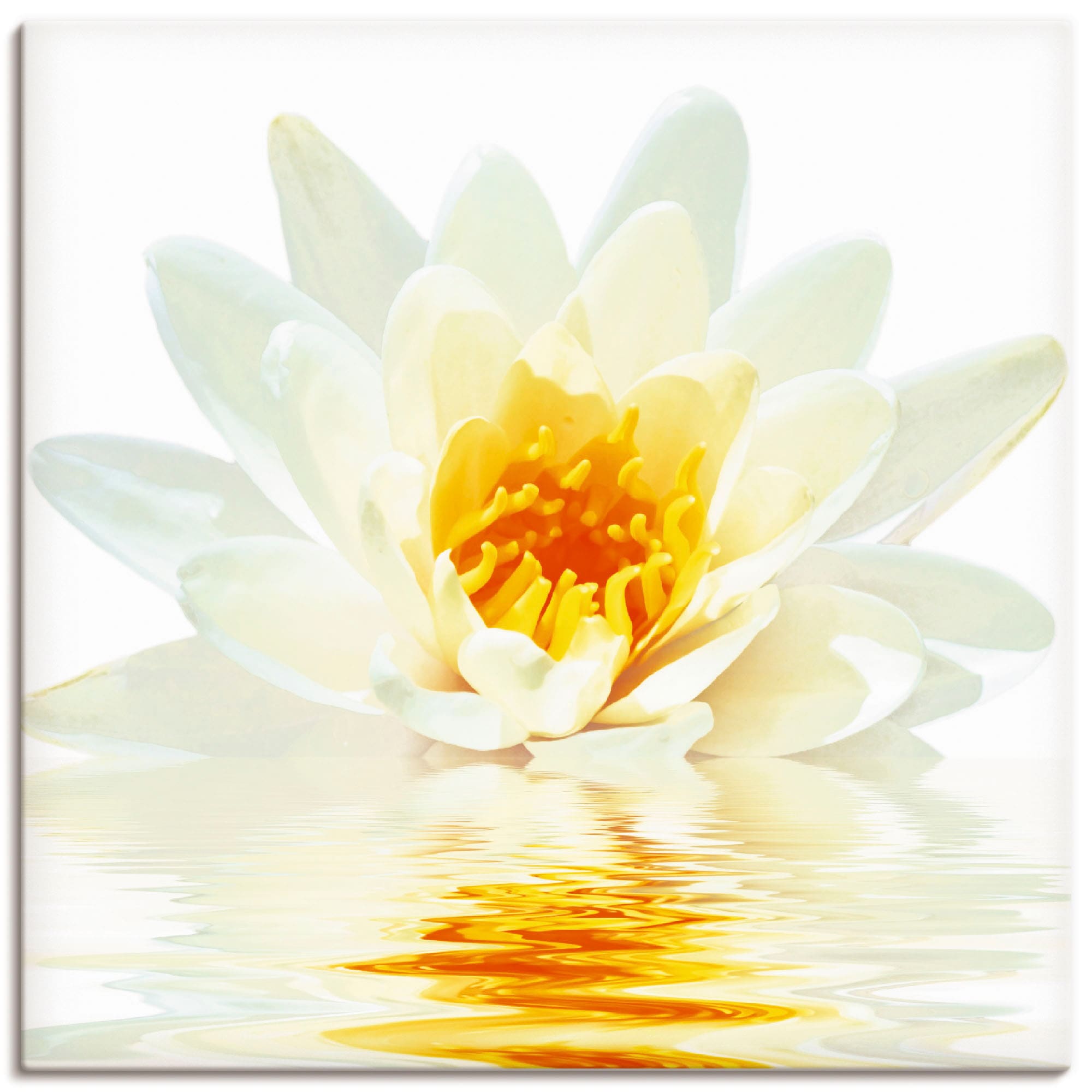 Artland Wandbild »Lotusblume schwimmt im Wasser« 1 Stk. tlg. als Leinwandbi günstig online kaufen