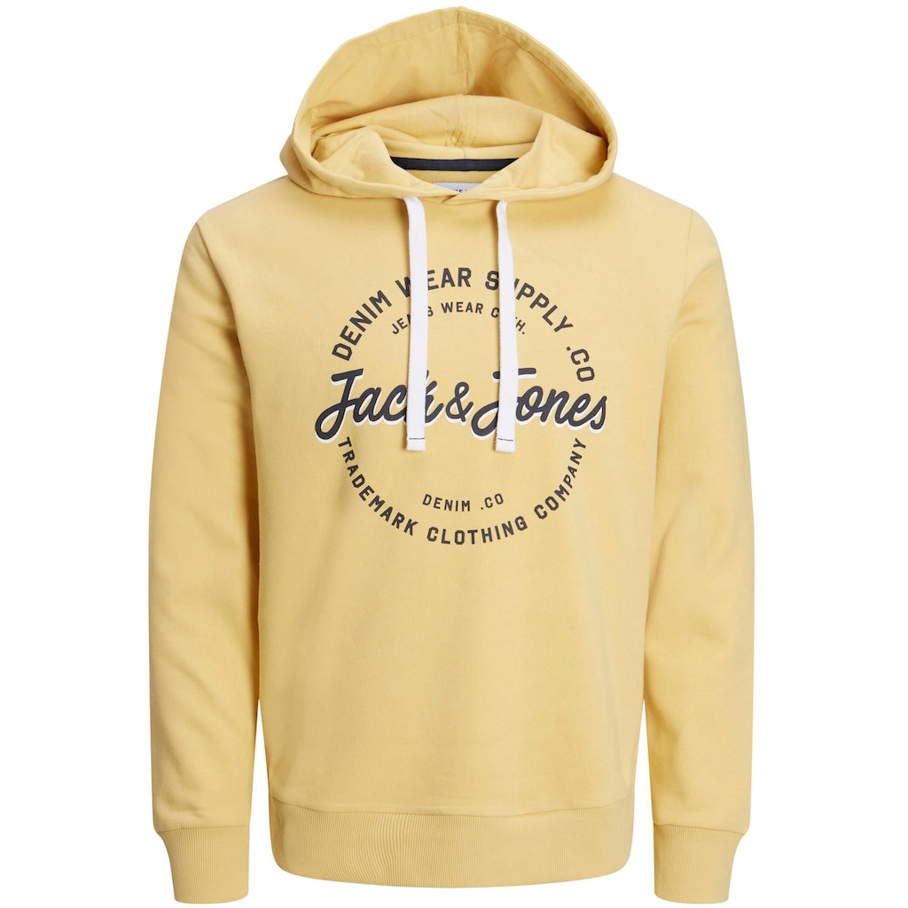 Jack & Jones Kapuzensweatshirt »JJ JJANDY SWEAT HOOD«