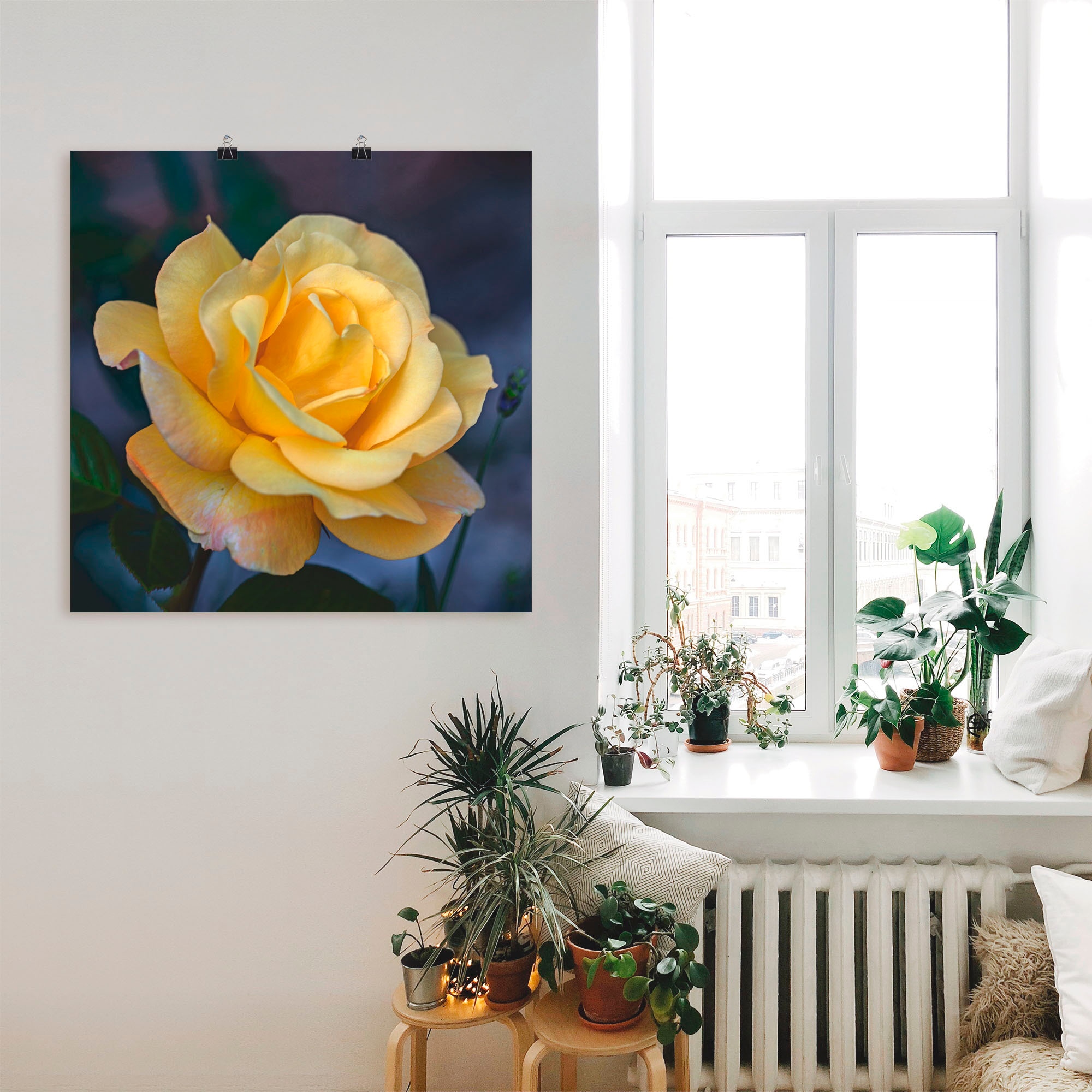 Artland Wandbild »Gelbe Rose«, Blumen, (1 St.), als Leinwandbild, Poster in verschied. Größen