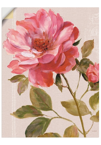 Wandfolie »Harmonische Rosen«, Blumen, (1 St.)