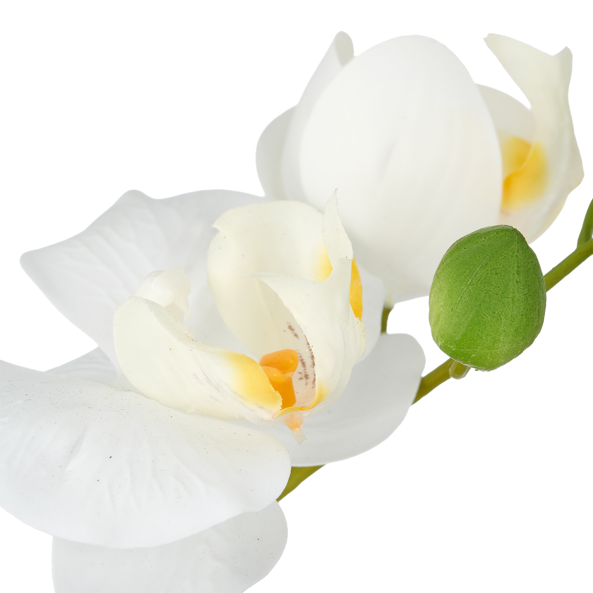 Creativ green Kunstorchidee »Phalaenopsis« mit Real-Touch-Blüten