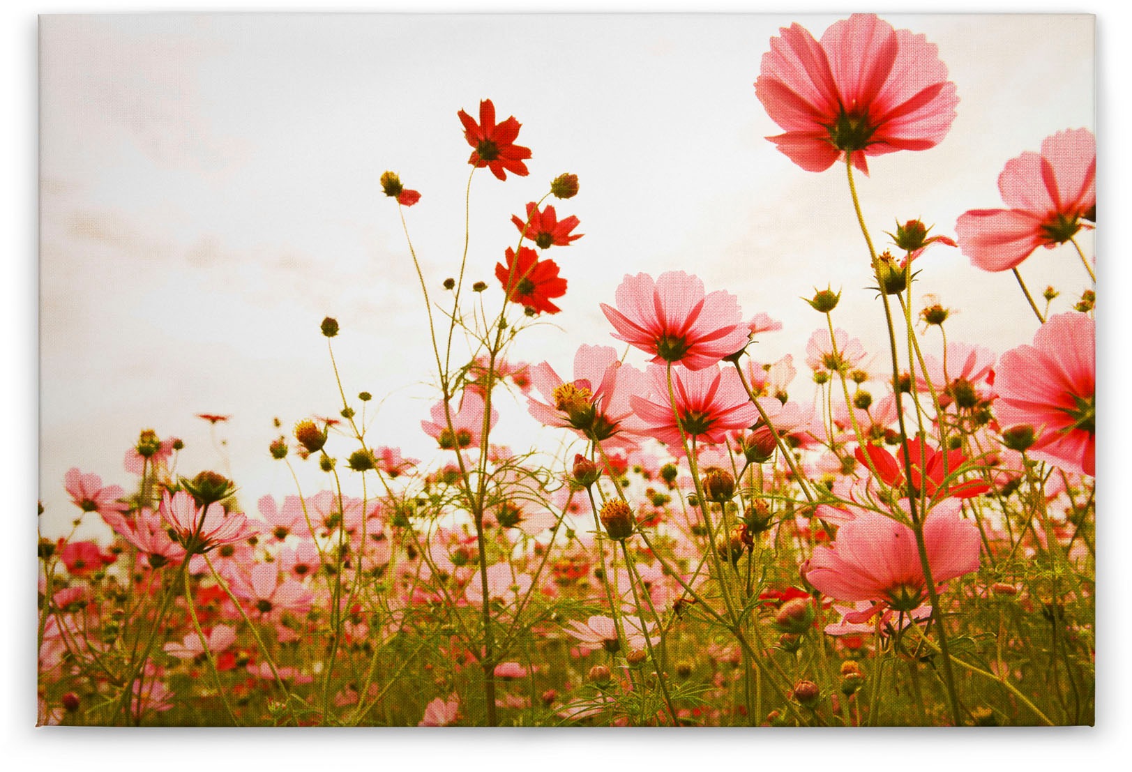Bricoflor Blumen Bild In Rot Und Grün Leinwandbild Mit Sommerblumen Für Sch günstig online kaufen