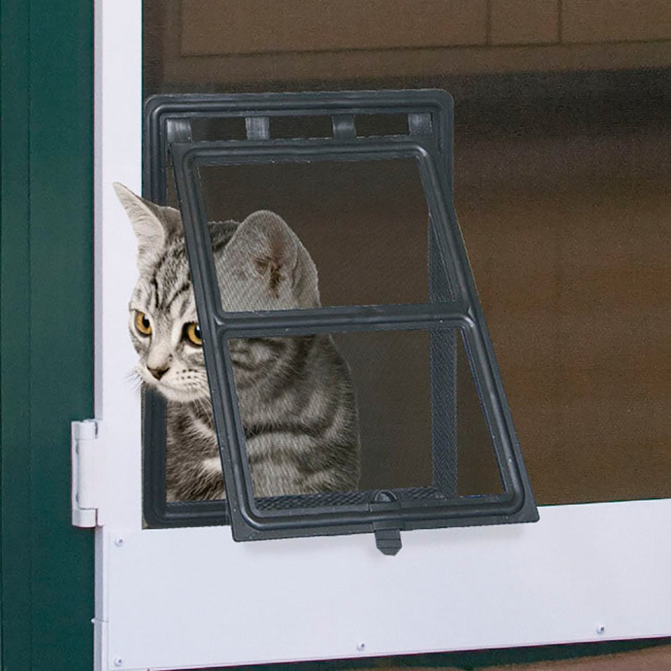 Windhager Katzenklappe, (Montage durch Clipsystem), für Insektenschutz Rahmentüren, 20x25 cm