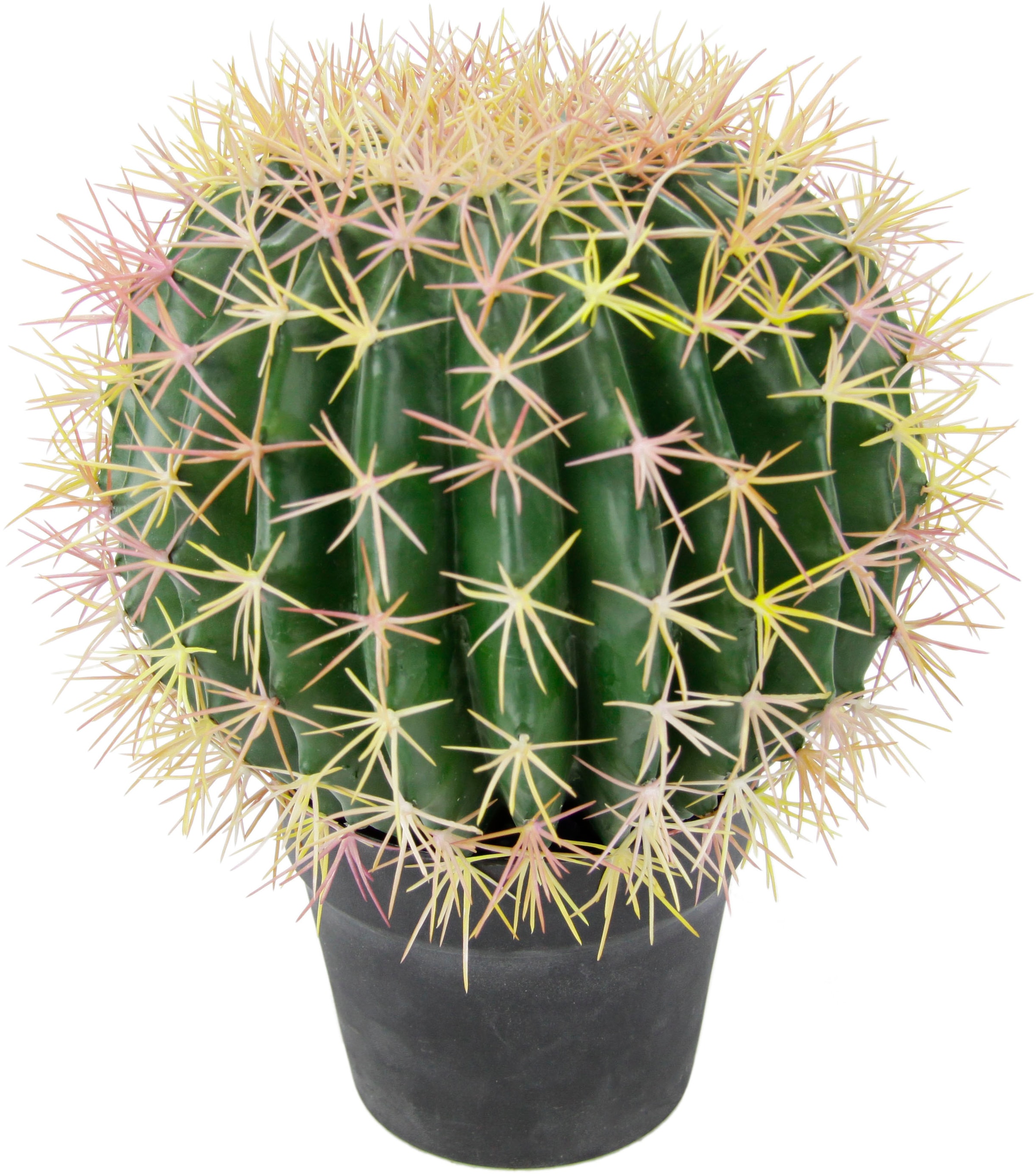 I.GE.A. Kunstpflanze »Kugelkaktus«, 33 cm